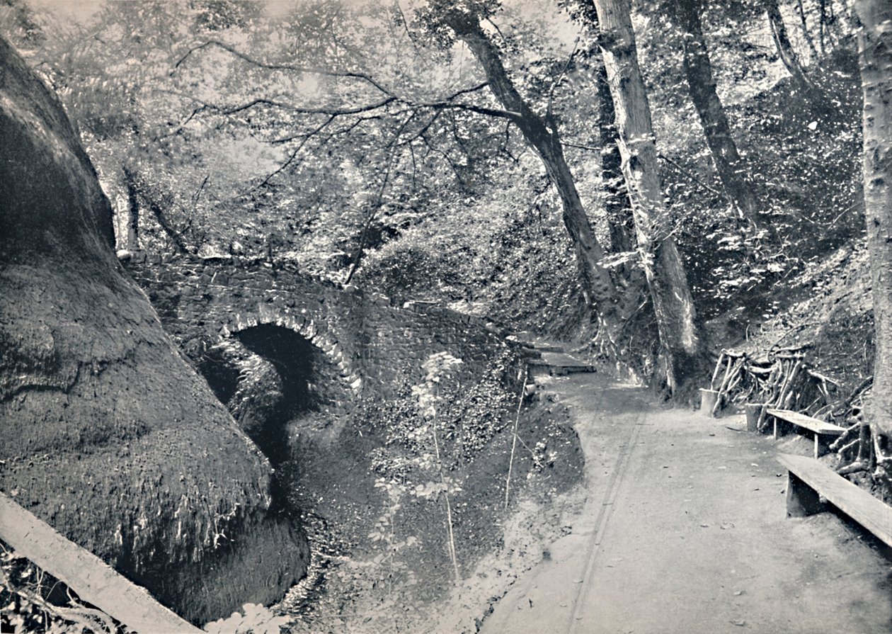 Shanklin - The Chine, 1895 af Unbekannt