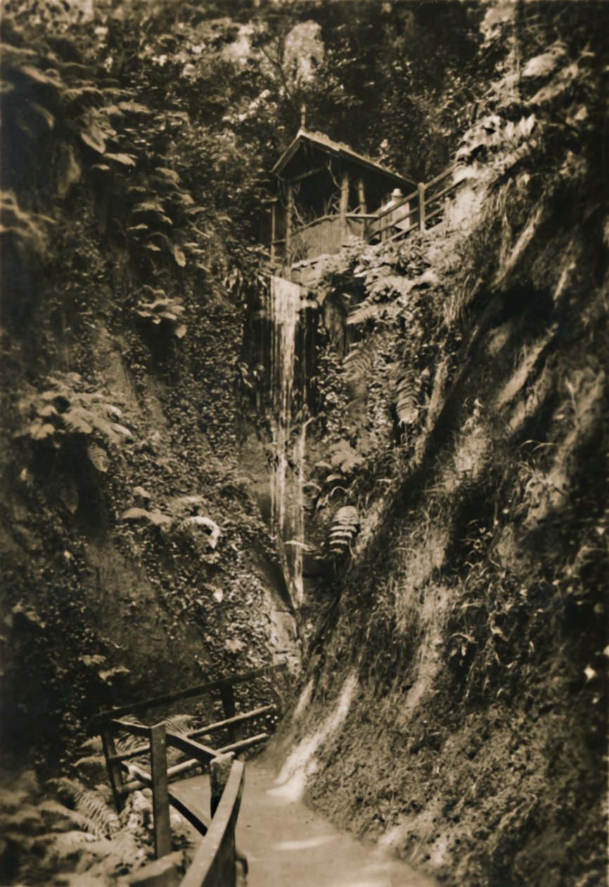 Shanklin Chine, I.W., c1920. af Unbekannt