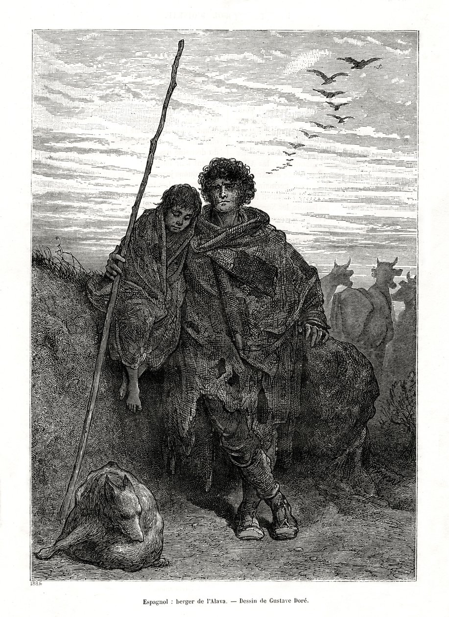 Hyrde af Alava, Spanien, 1886 af Unbekannt