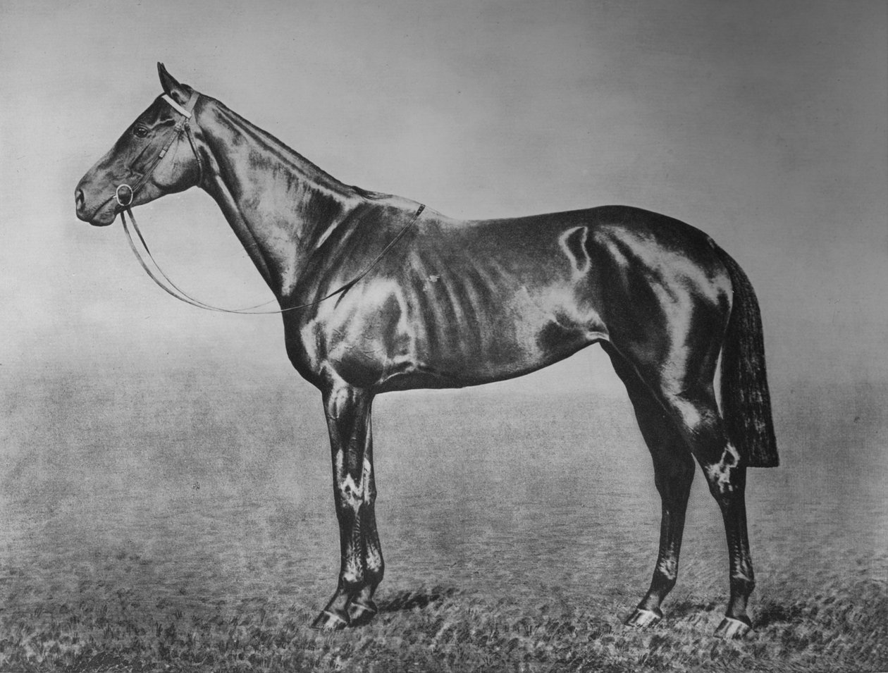 Frøken, 1905-1928, 1911 af Unbekannt