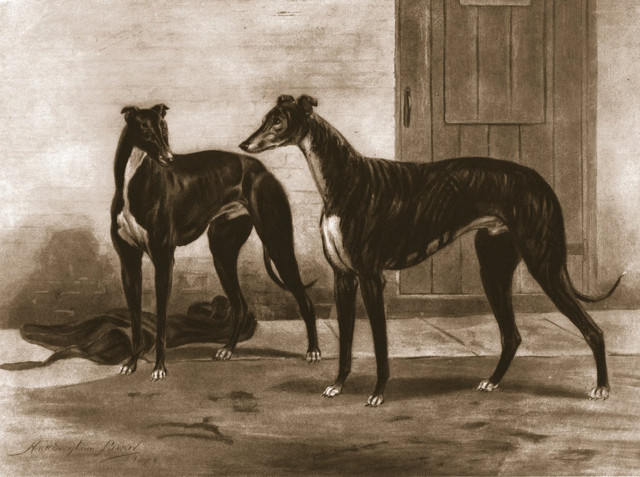 Simonian og Fullerton, c1891, 1911. af Unbekannt