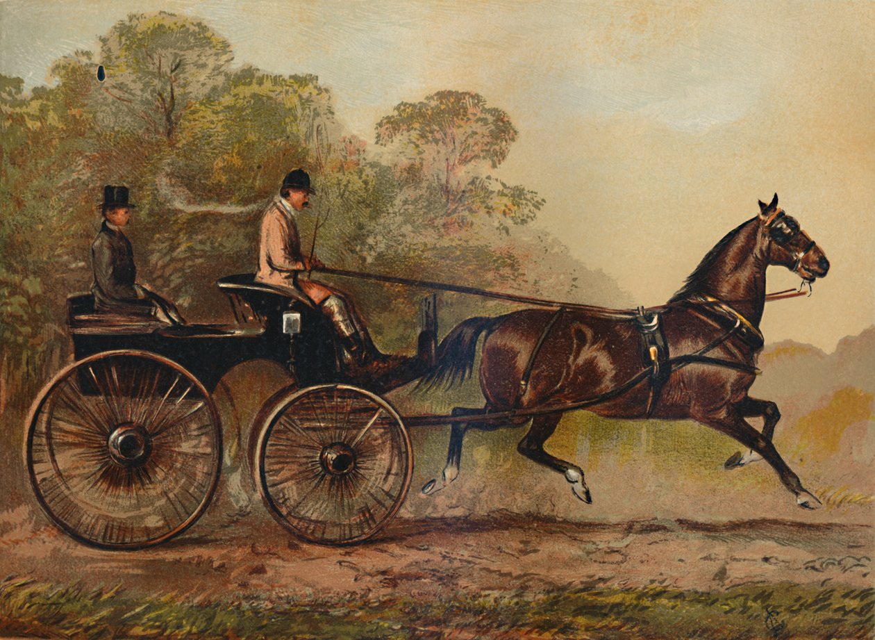 Enkeltsele Phaeton Horse Columbine. Ejendom af Charles Baynes Esq., 1872, c1879 af Unbekannt
