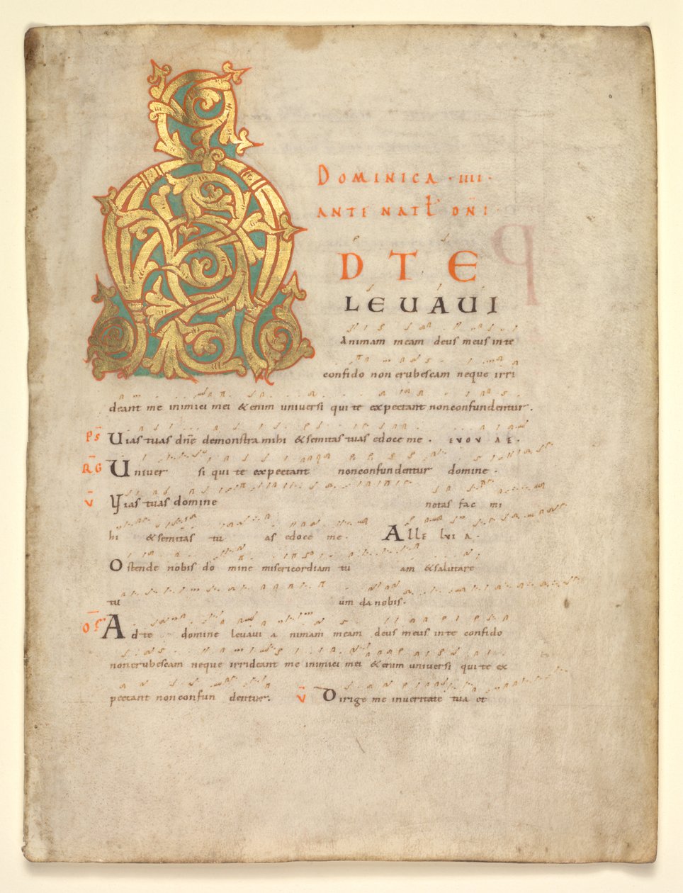 Enkelt blad udskåret fra en gradvis og sakramentær: Indledende A[d te lavavi], ca. 1000-1010. af Unbekannt