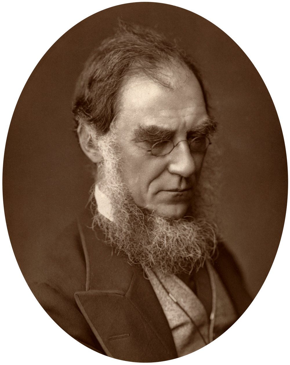 Sir Joseph Dalton Hooker, direktør for Royal Gardens i Kew, 1881 af Unbekannt