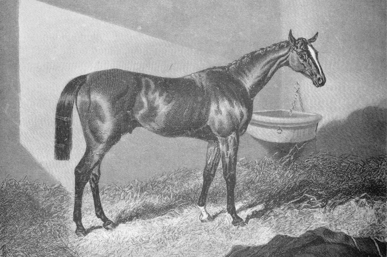 Sir Tatton Sykes, 1842-1860, 1911 af Unbekannt