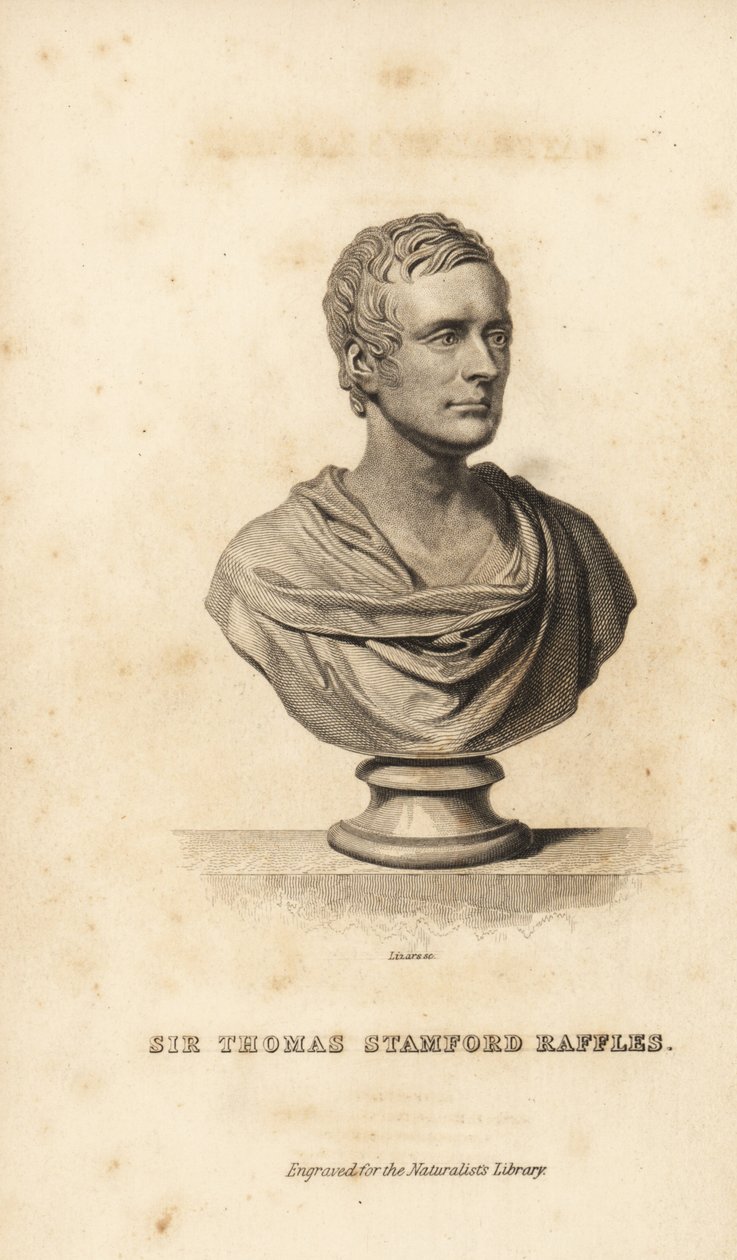 Sir Thomas Stamford Raffles, britisk statsmand, forfatter og naturforsker af Unbekannt