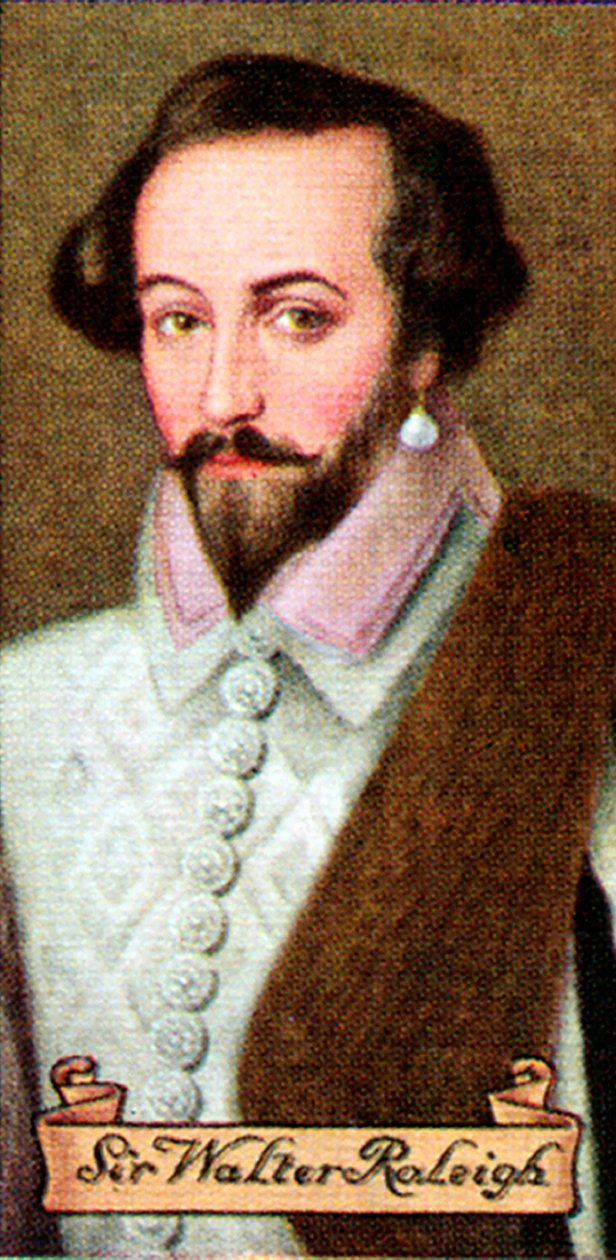 Sir Walter Raleigh, taget fra en række cigaretkort, 1935 af Unbekannt