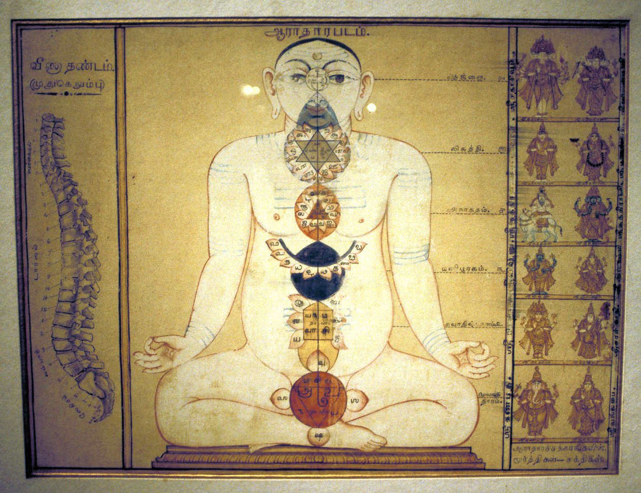 Seks chakraer, der repræsenterer den menneskelige krops plexus, Tanjore, Tamil Nadu, c1850 af Unbekannt