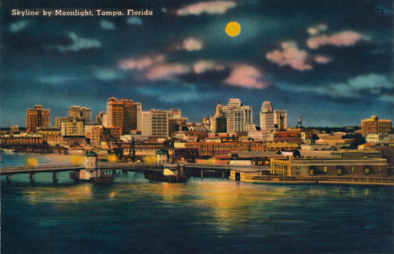 Skyline af Moonlight, Tampa, Florida, c1940