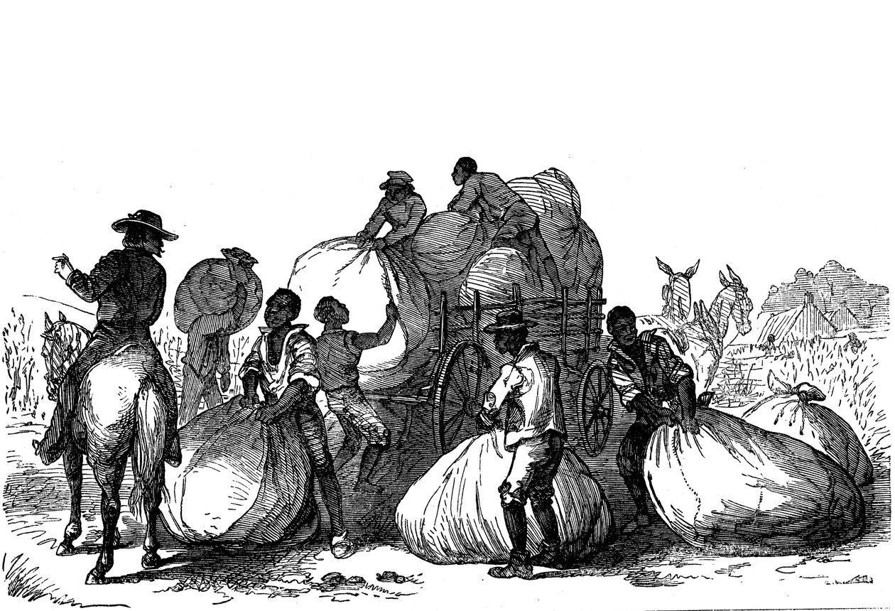 Slavearbejde læsser sække med bomuld på vogn, sydlige stater i USA af Unbekannt