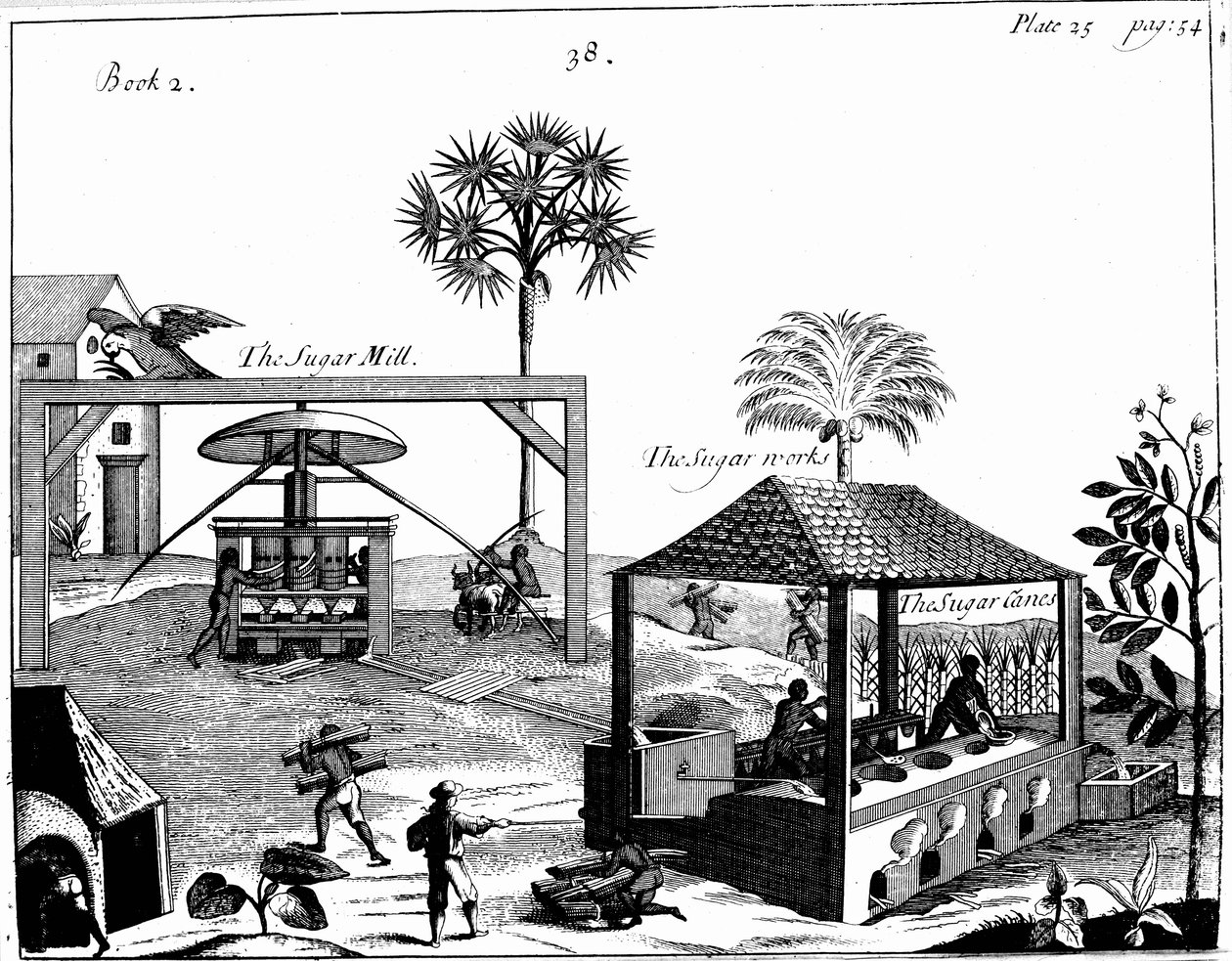 Slavearbejde på en sukkerplantage i Vestindien, 1725 af Unbekannt