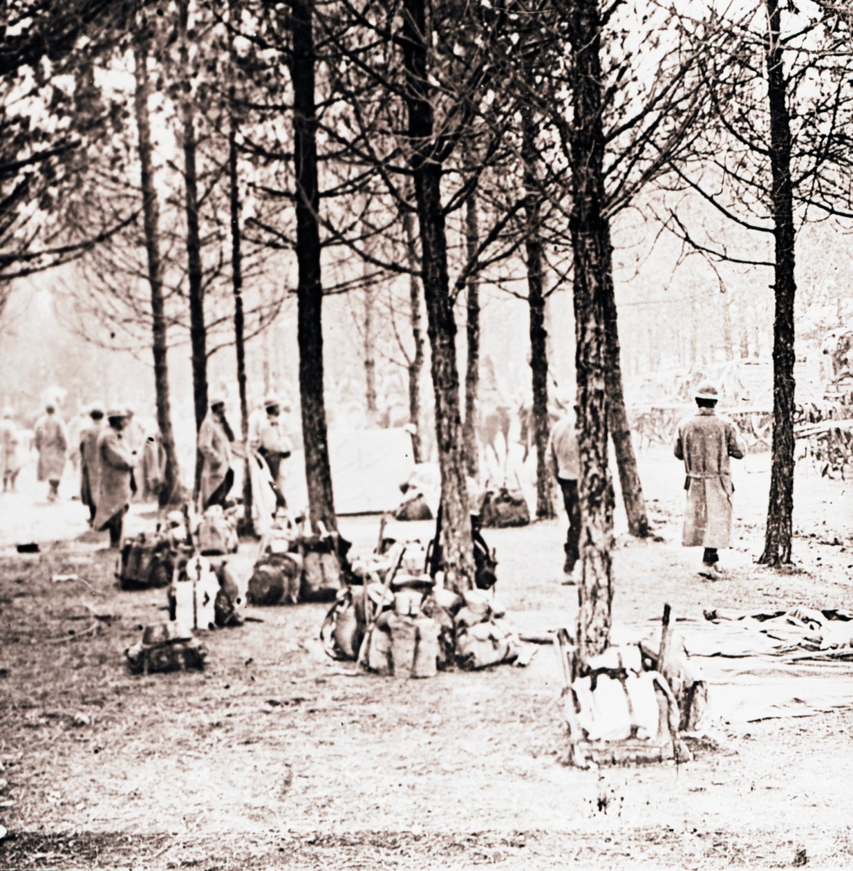 Soldater og flokke i skoven, c1914-c1918 af Unbekannt