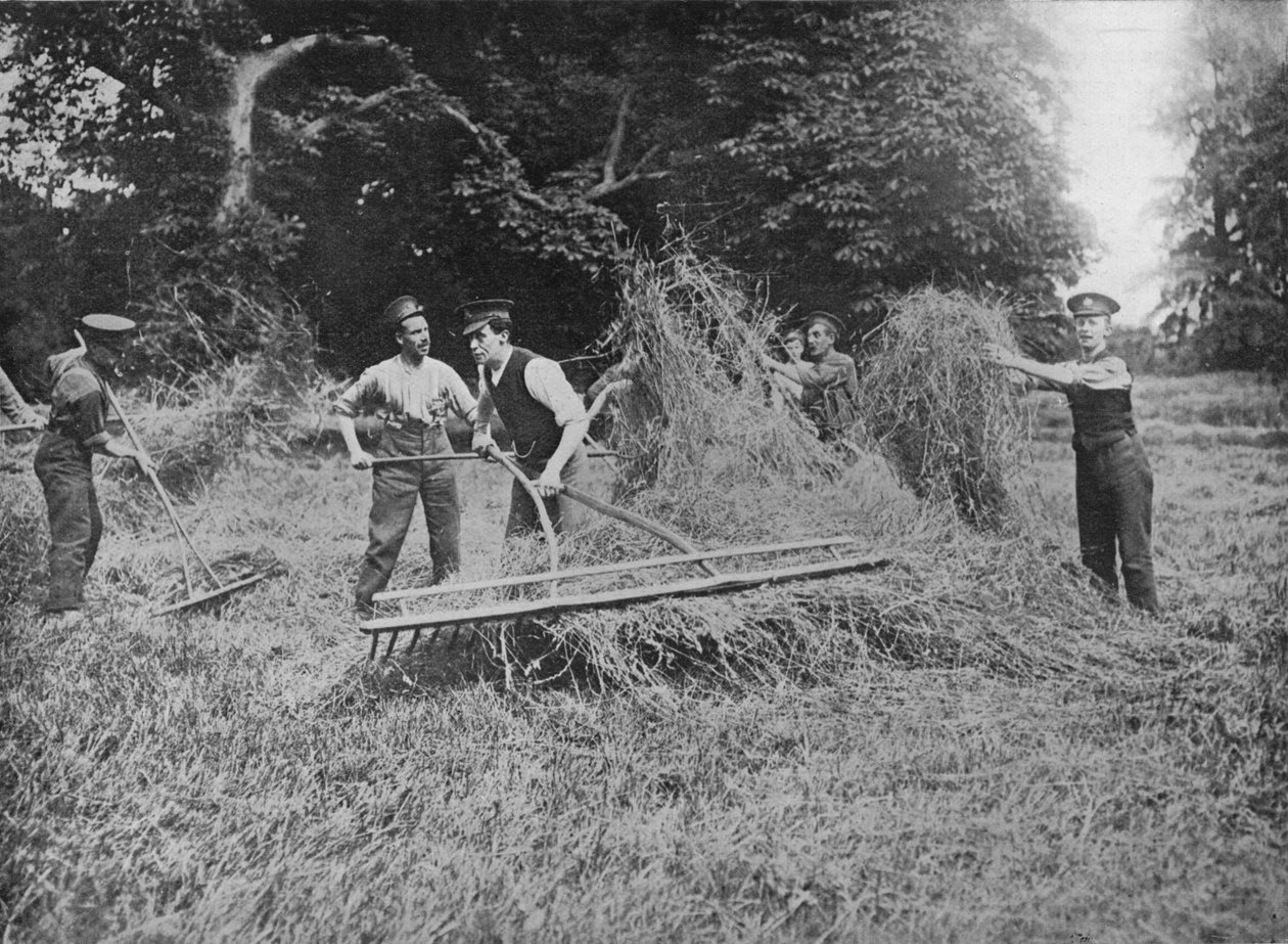 Soldater, der hjælper bønderne ved at komme i høet, 1915 af Unbekannt