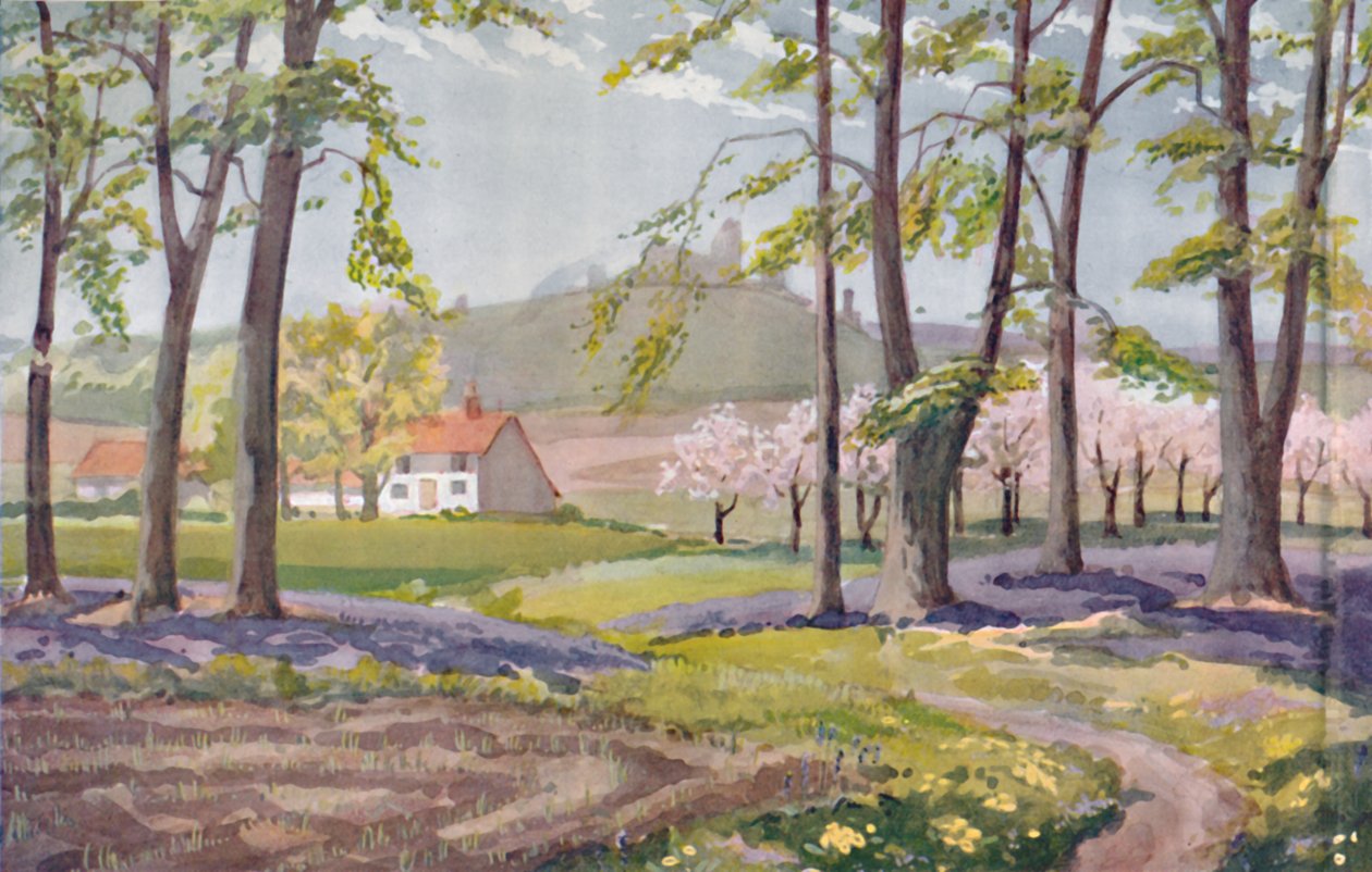 Forår - De fysiske, kemiske og biologiske ændringer forårsaget af solen i løbet af året, 1935. af Unbekannt