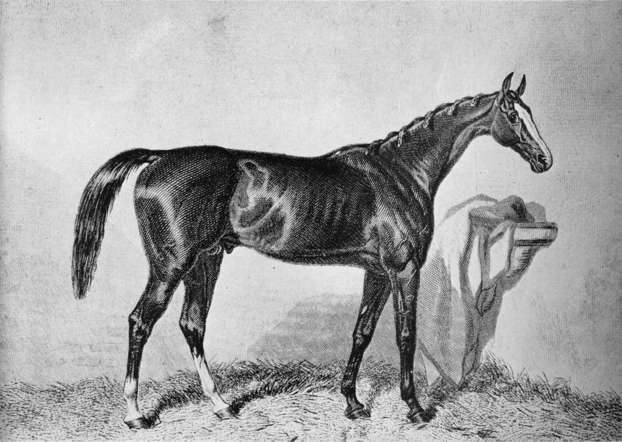 St. Albans, c1800-tallet, 1911 af Unbekannt