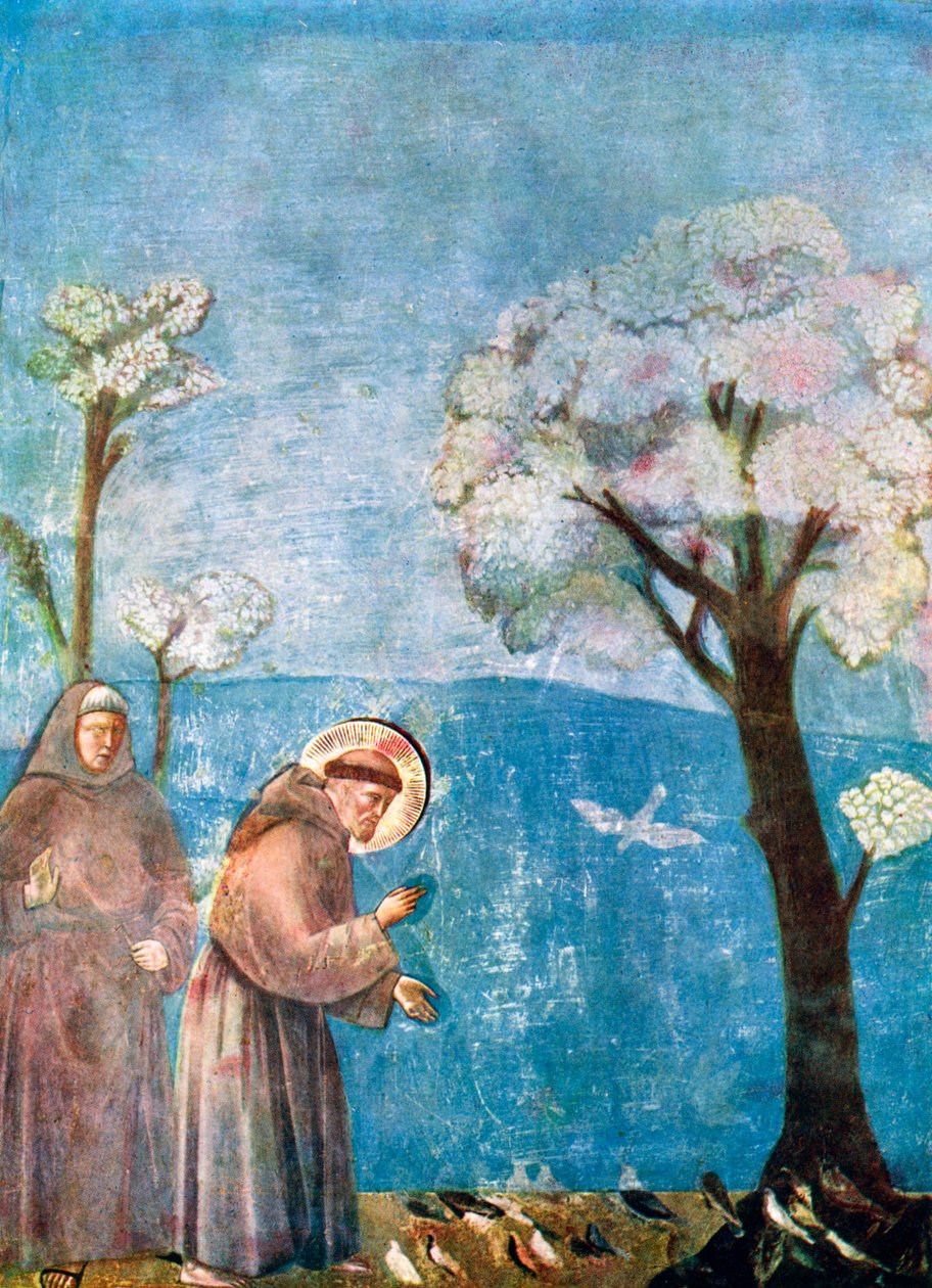 Den hellige Frans prædiker for fuglene, 1297-1299, c1900-1920 af Unbekannt
