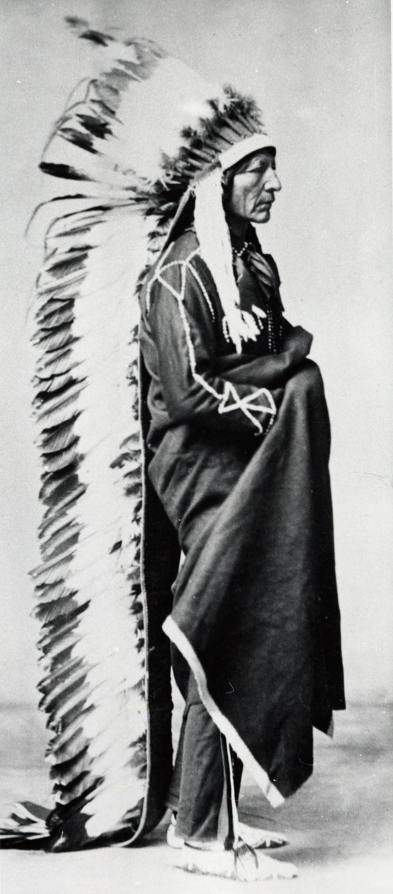 Stående bjørn, høvding for Dakota Sioux, North American Plains Indians, c1885-c1890 af Unbekannt