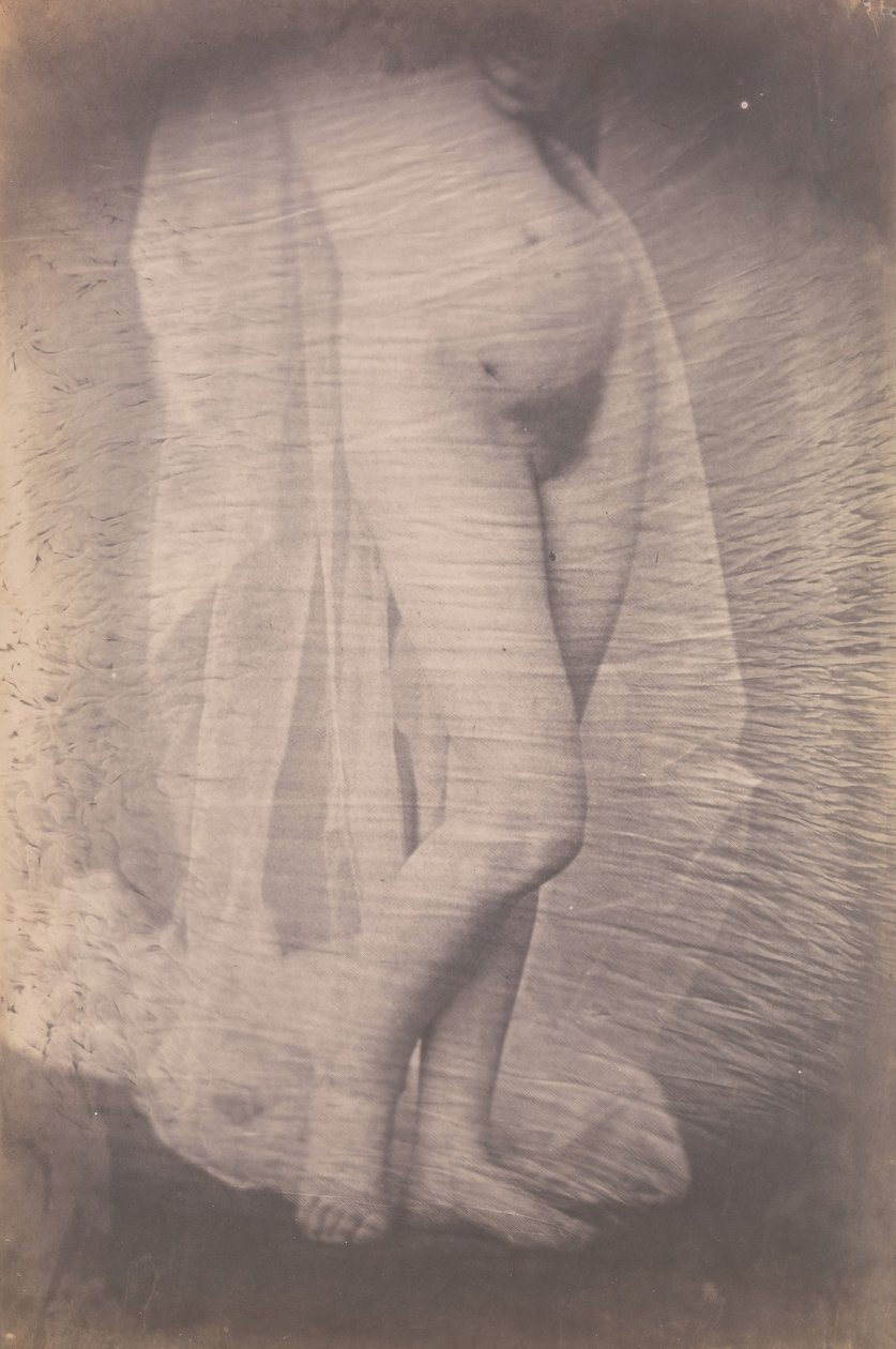 [Stående kvinde nøgen], ca. 1856. af Unbekannt