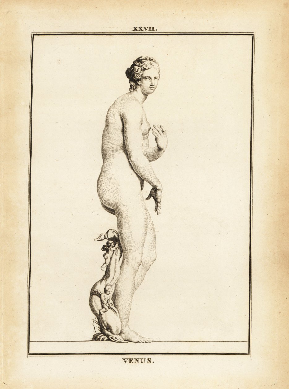 Statue af Venus, romersk gudinde for kærlighed, skønhed, sex og frugtbarhed af Unbekannt