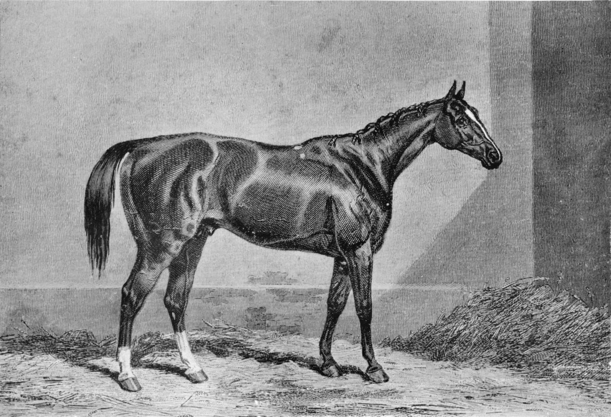 Stockwell, 1849-1871, 1911 af Unbekannt