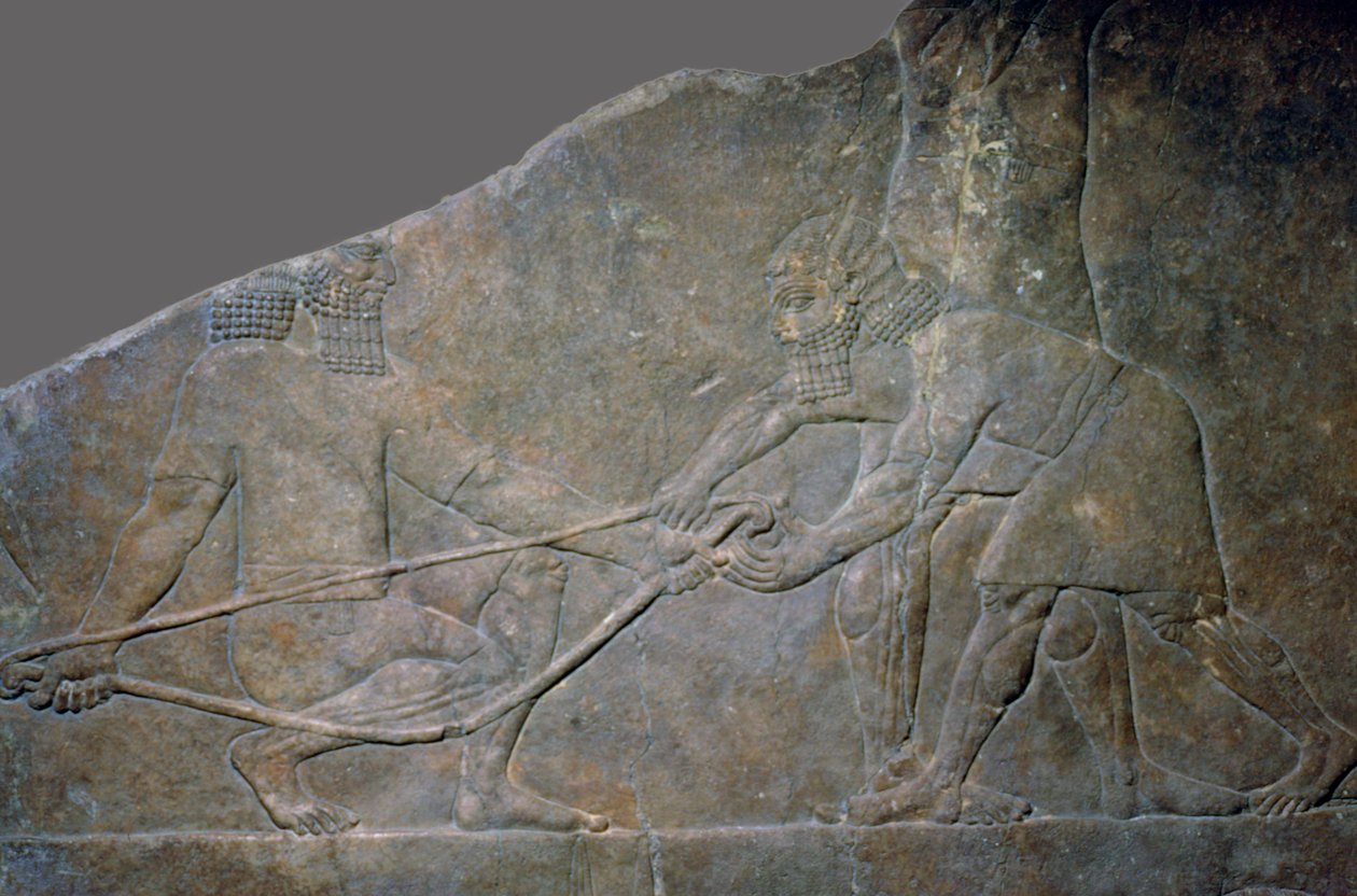 Stenpanel fra North Palace of Ashurbanipal, Nineveh, det nordlige Irak, Neo-Assyrisk, c645 f.Kr. af Unbekannt