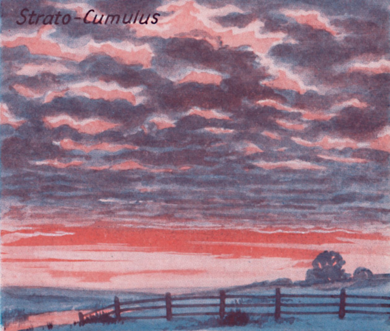 Strato-Cumulus - Et dusin af de vigtigste skyformer på himlen, 1935 af Unbekannt