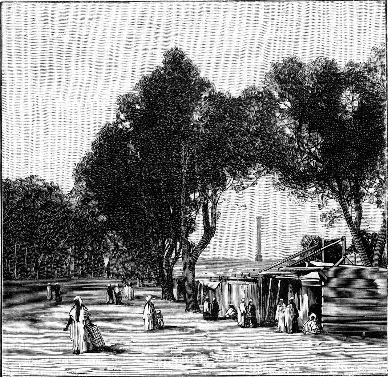 Gadebillede med Pompeys-søjlen i det fjerne, Alexandria, Egypten, 1900 af Unbekannt
