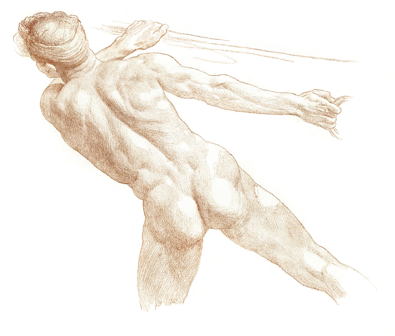 Studie, 1895 af Unbekannt