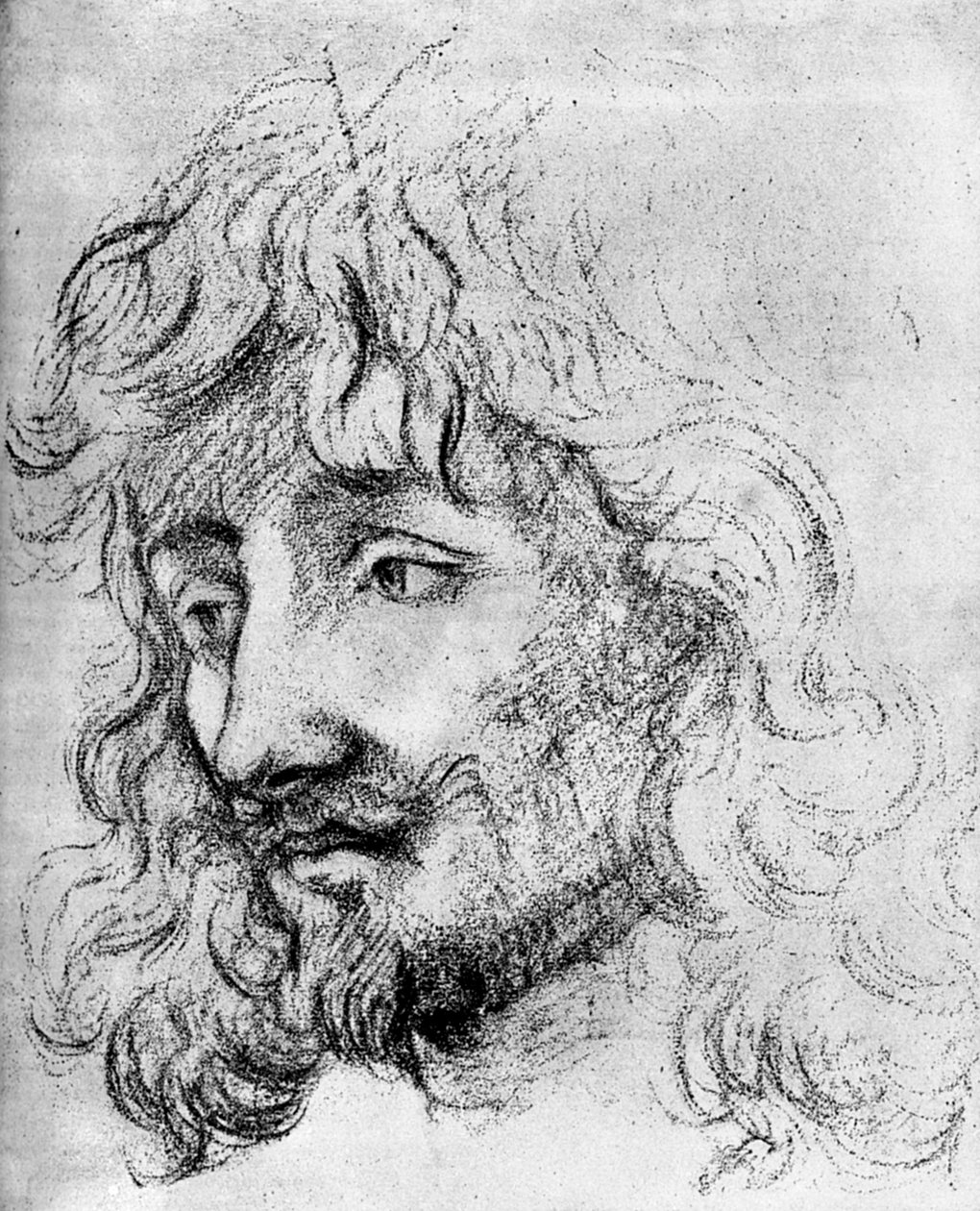 Study of a Head, 1600-tallet 1882 af Unbekannt