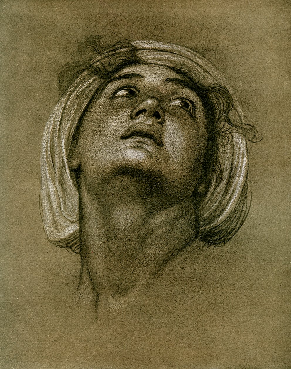 Studie af et hoved, 1901 af Unbekannt