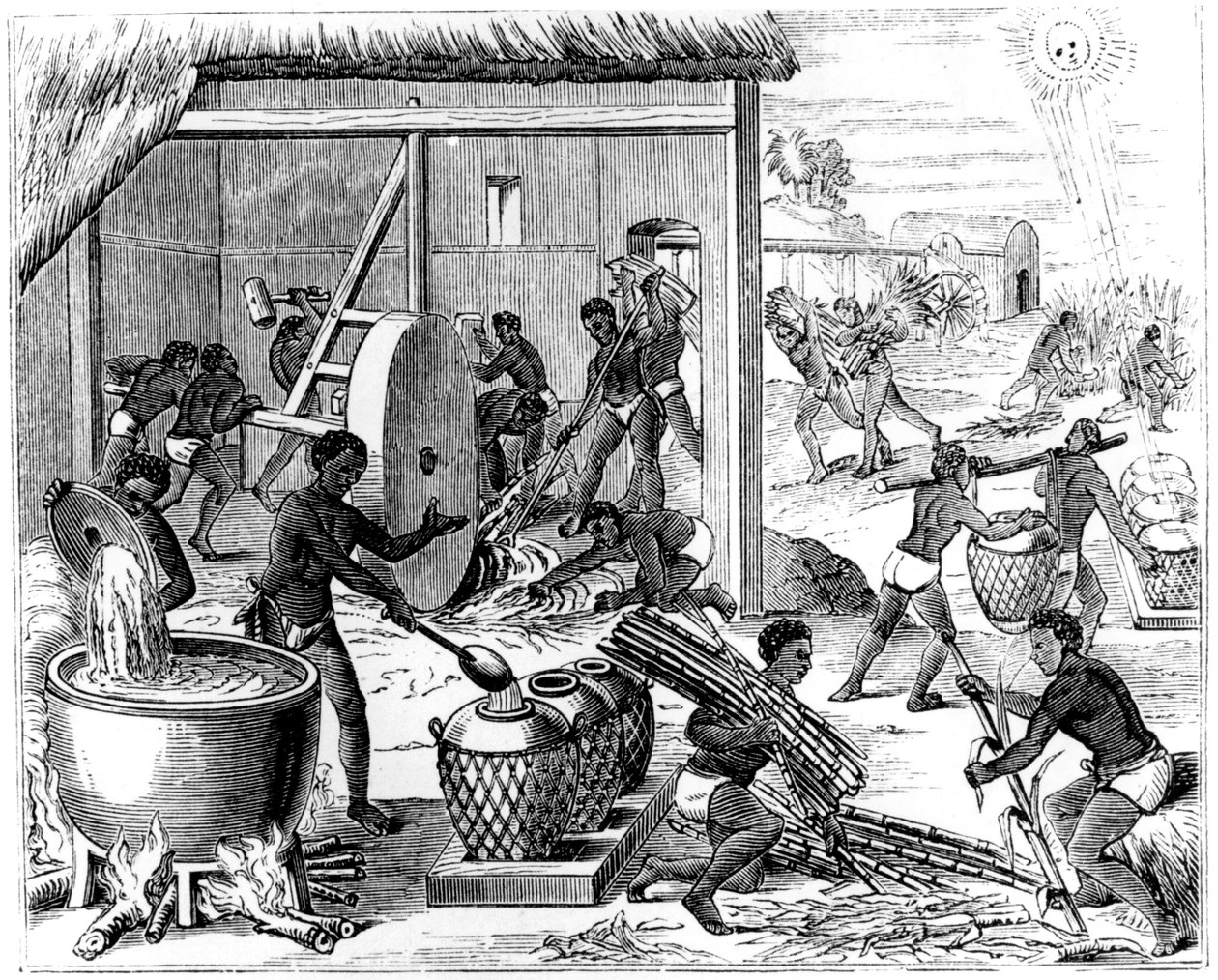 Sukkerproduktion, 1873 af Unbekannt