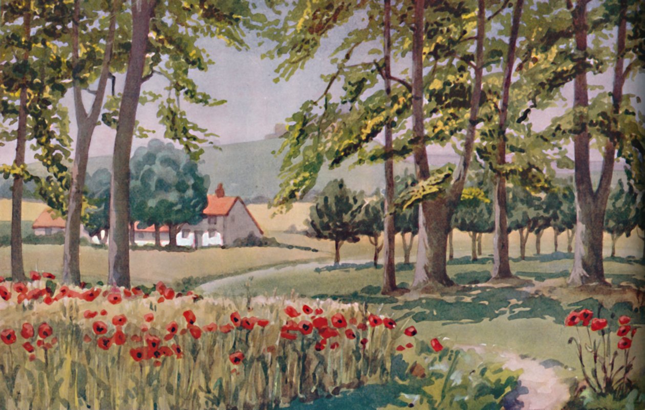 Sommer - De fysiske, kemiske og biologiske forandringer forårsaget af solen i løbet af året, 1935 af Unbekannt