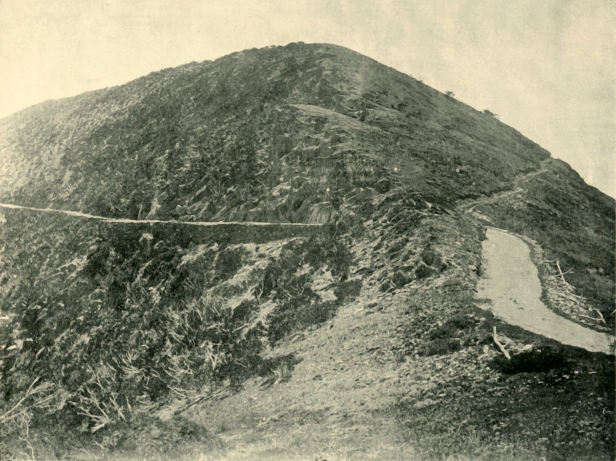 Topmødet af Mount Blowhard, victorianske alper, 1901. af Unbekannt