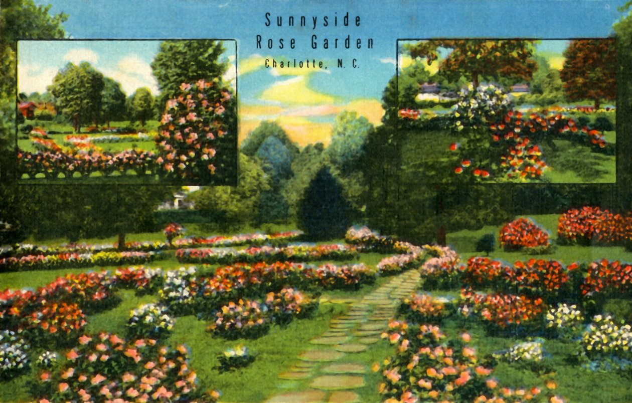 Sunnyside Rose Garden, Charlotte, N.C., 1942. af Unbekannt