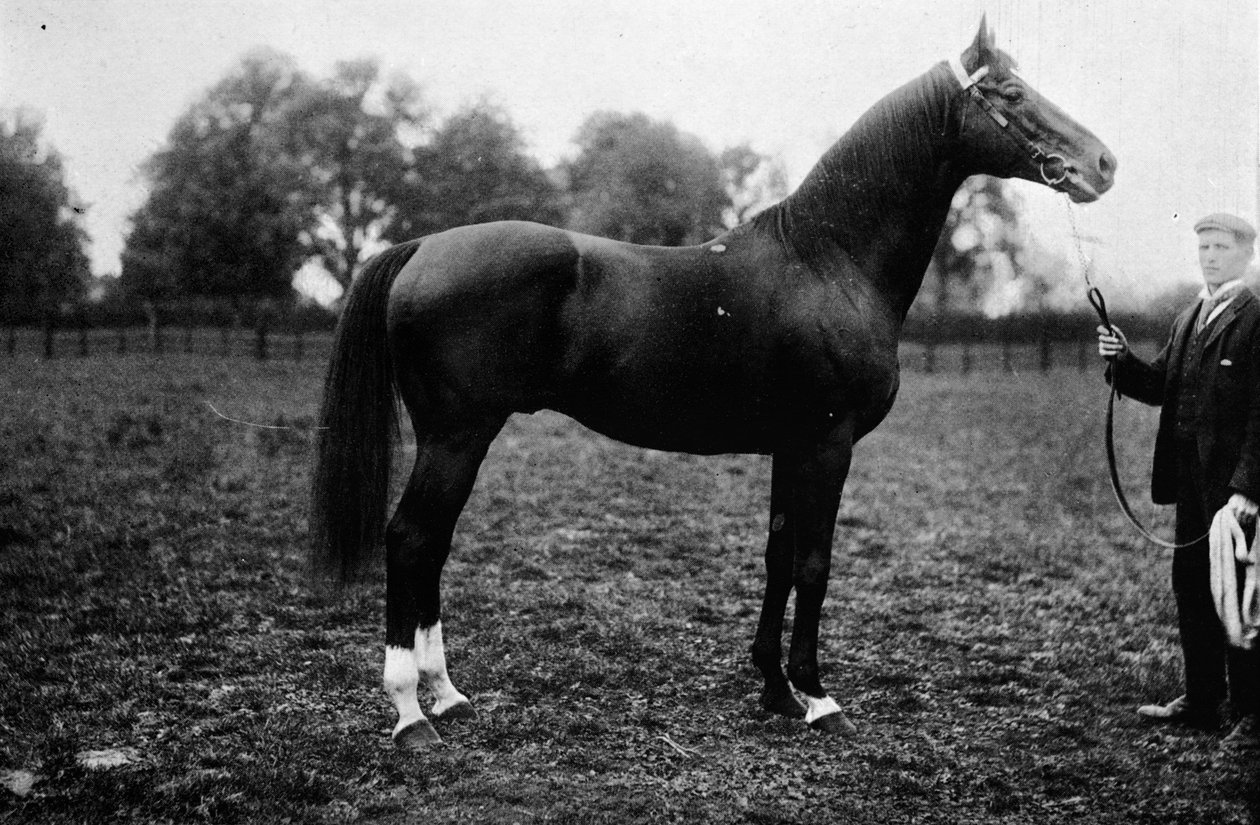 Surefoot, 1911 af Unbekannt