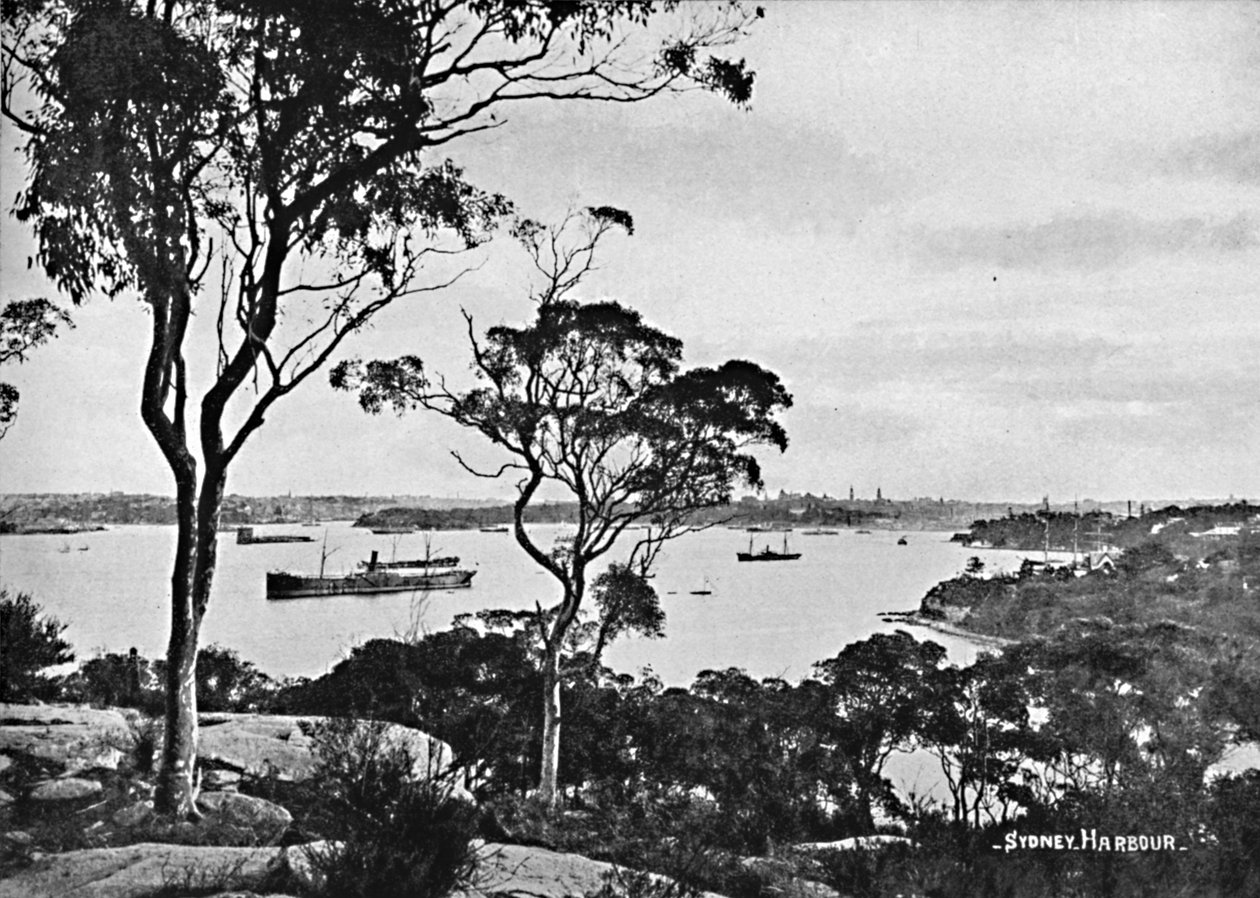 Sydney Harbour, fra Cremorne Point, c1900. af Unbekannt