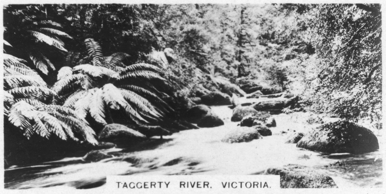 Taggerty River, Victoria, Australien, 1928 af Unbekannt