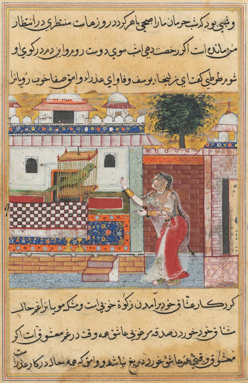 Fortællinger om en papegøje Tuti-nama: Den tolvte nat: papegøjen henvender sig til Khujasta..., ca. 1560. af Unbekannt
