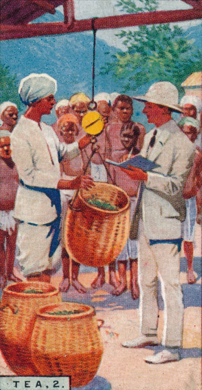 Tea, 2. - Vejning af plukket, Ceylon, 1928 af Unbekannt