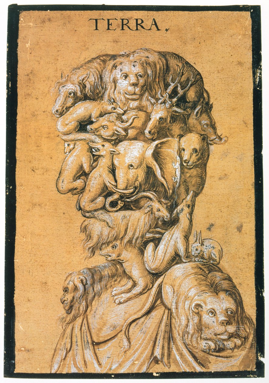 Terra Land, c1600 af Unbekannt