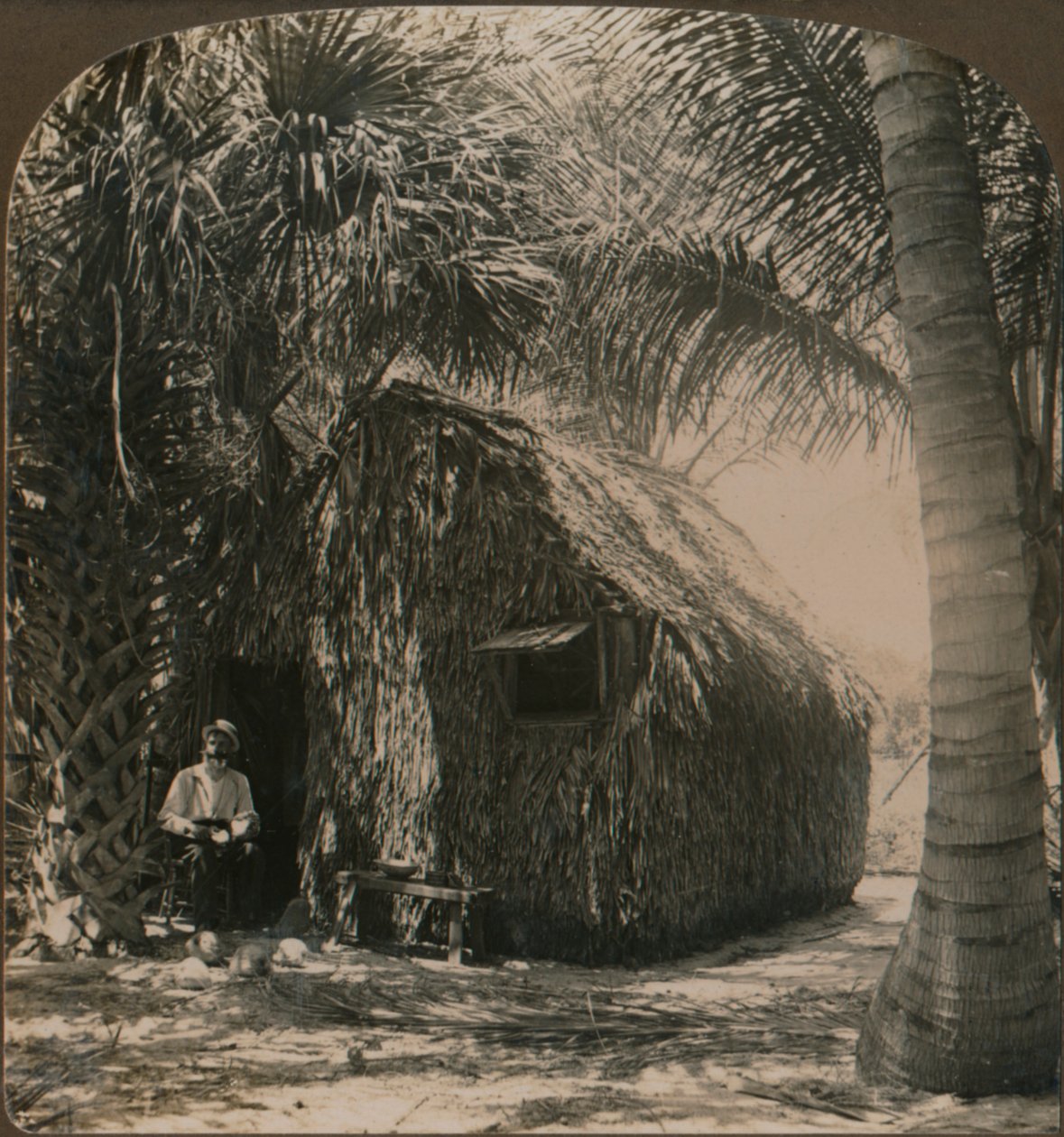 Stråtækt sommerhus i Cocoanut Grove, Florida, U.S.A., c1900 af Unbekannt