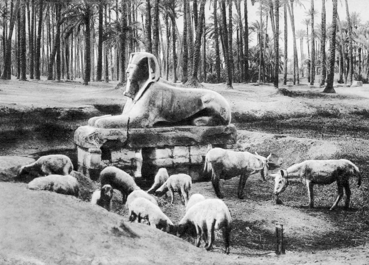 Alabastersfinksen, Cairo, Egypten, c1920