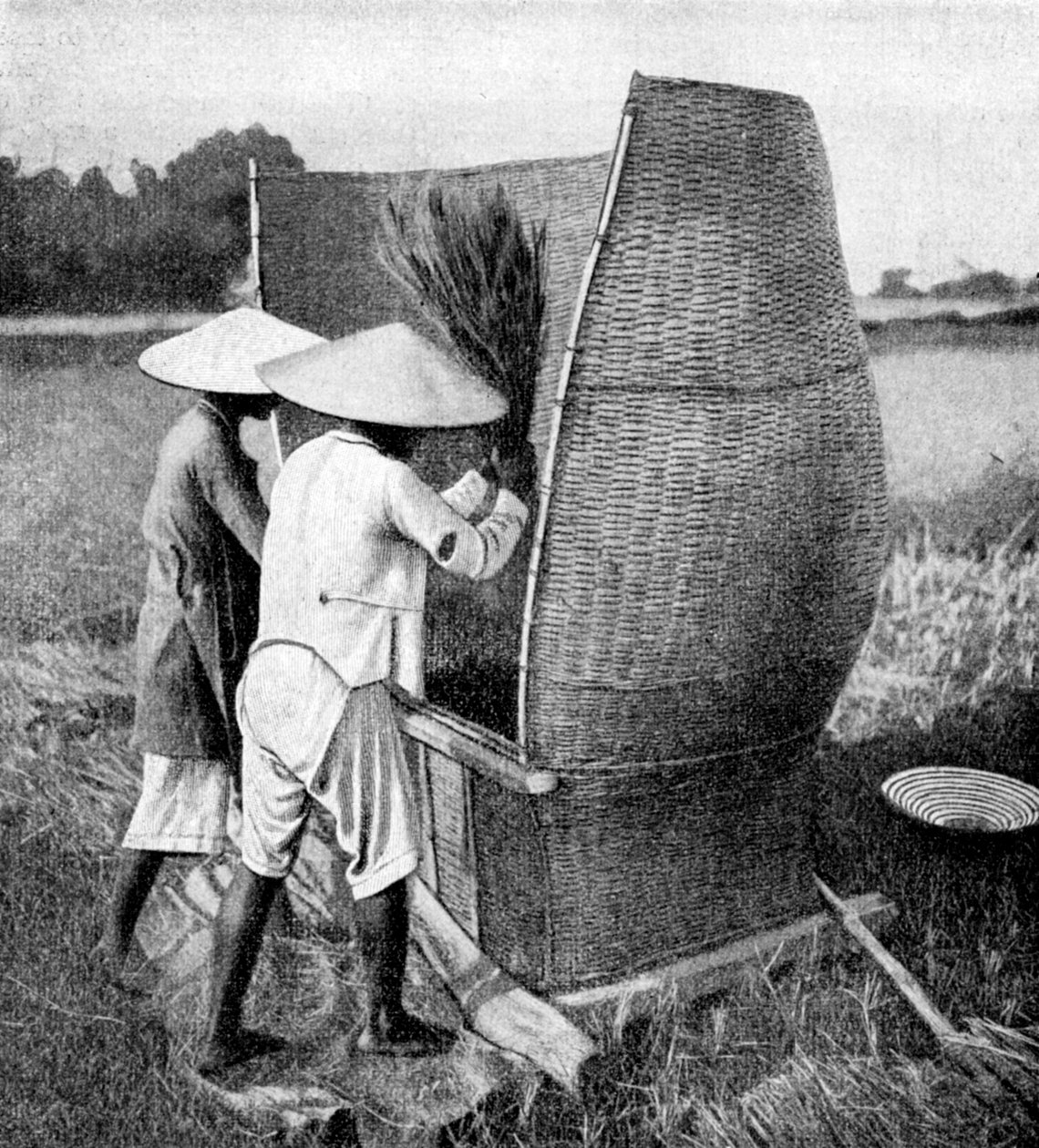 Den Annamesiske måde at høste og tærske ris på, Annam, Vietnam, 1922 af Unbekannt