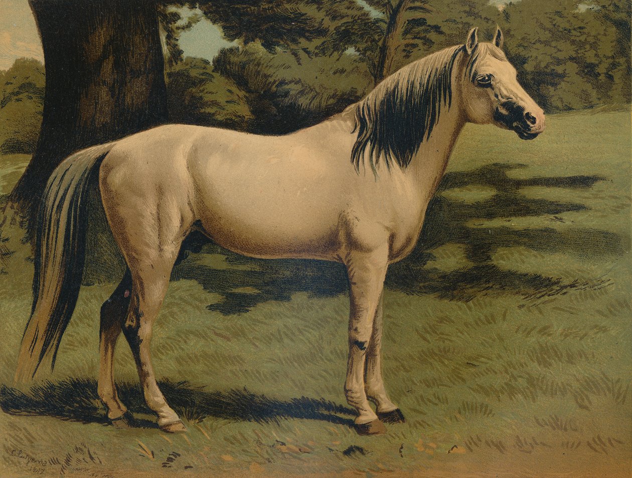 Den arabiske ponylader af general Sir Hope Grant, c1879. af Unbekannt