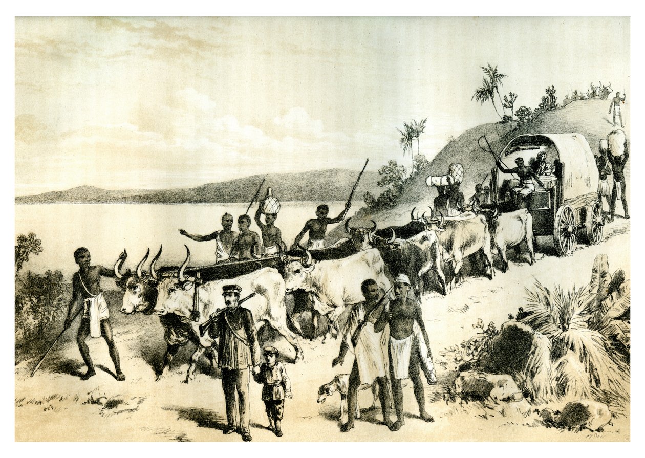 Ankomsten til Ngami-søen, 1883 af Unbekannt