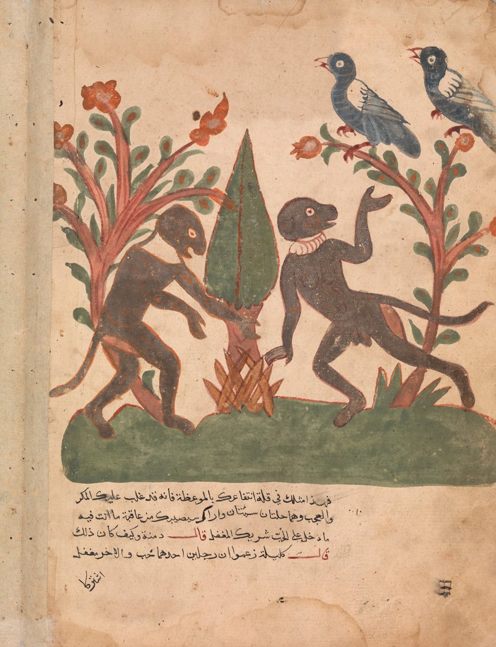 Fuglene og aberne med lysormen, Folio fra en Kalila wa Dimna, 1700-tallet. af Unbekannt