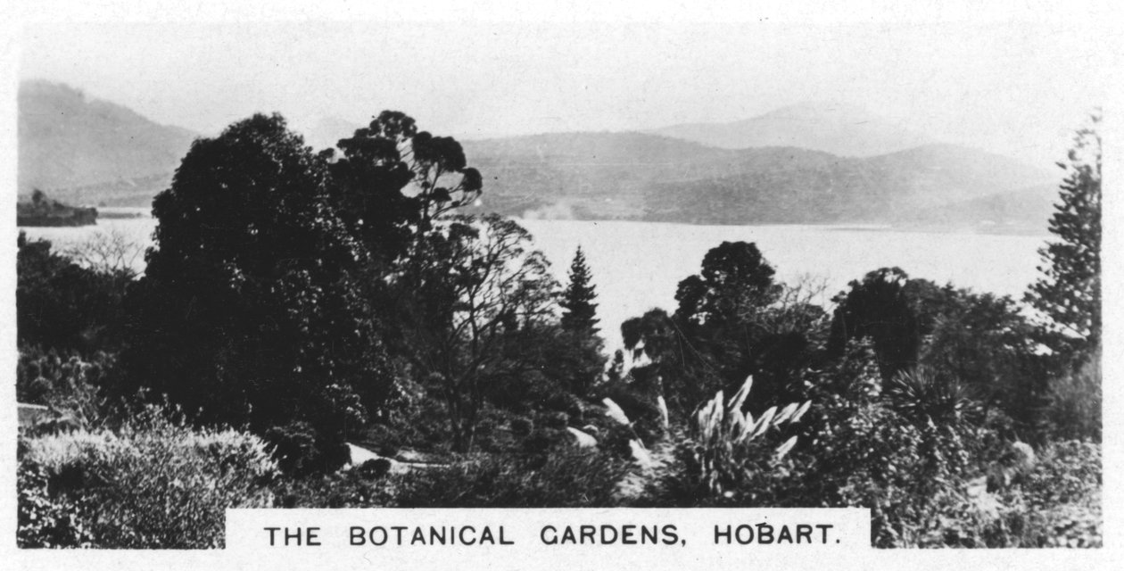 Den botaniske have, Hobart, Tasmanien, 1928 af Unbekannt