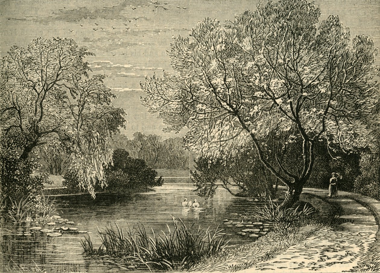 Den botaniske have, Regents Park, c1876. af Unbekannt
