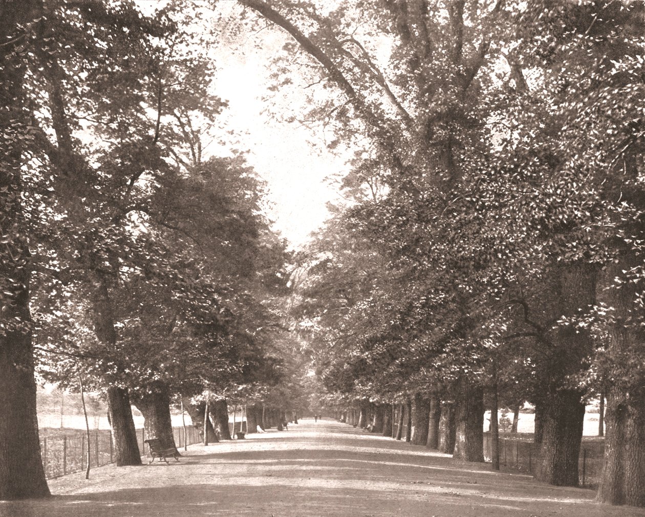 The Broad Walk, Oxford, 1894. af Unbekannt