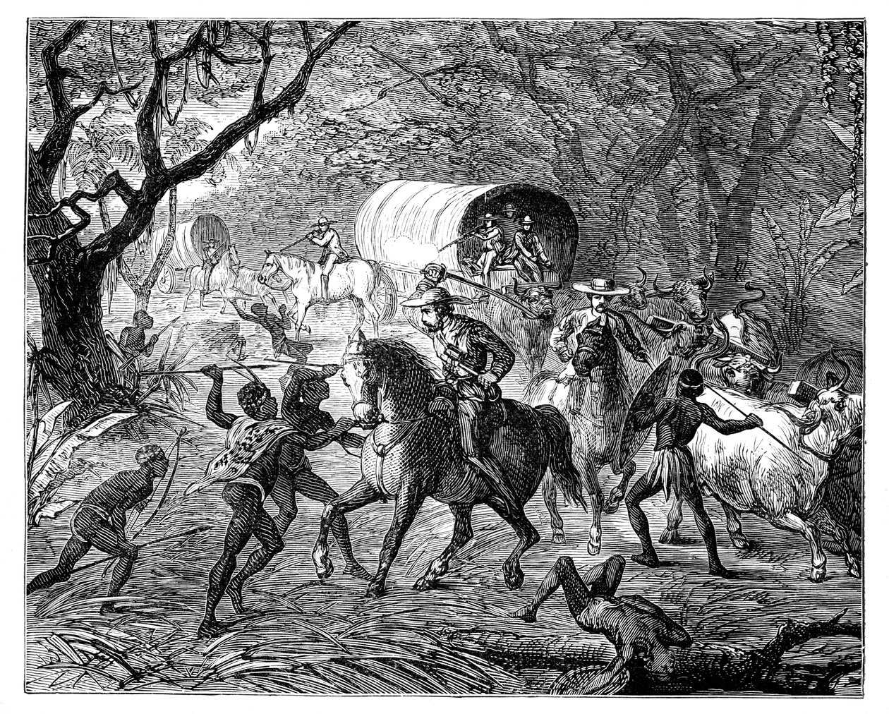 Caffre-krigen: Indfødte angriber en konvoj, 1800-tallet af Unbekannt
